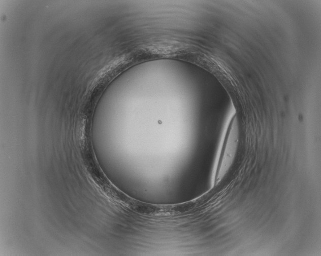 X0000060580404200512011738