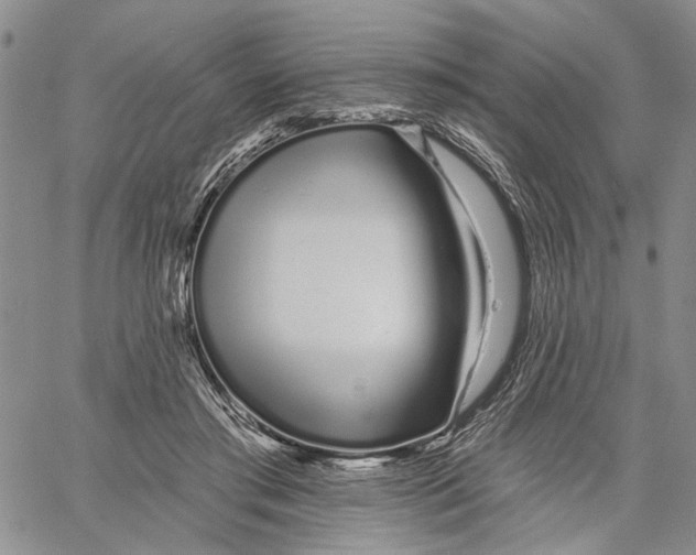 X0000060580405200512011738