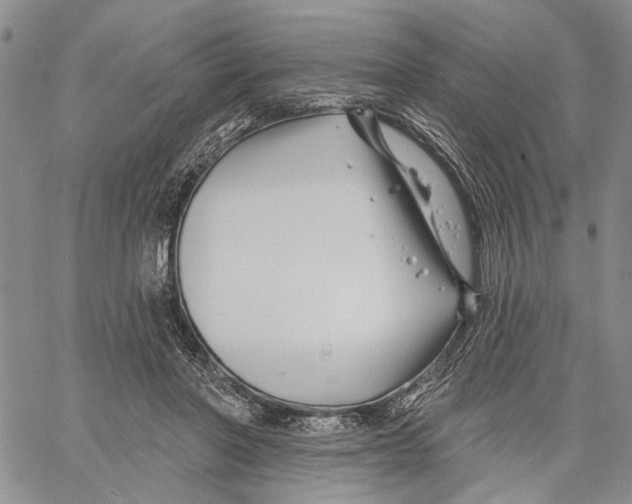 X0000060580406200512011738