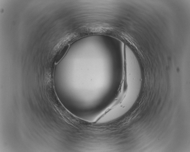 X0000060580407200512011738