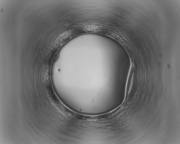 X0000060580408200512011738