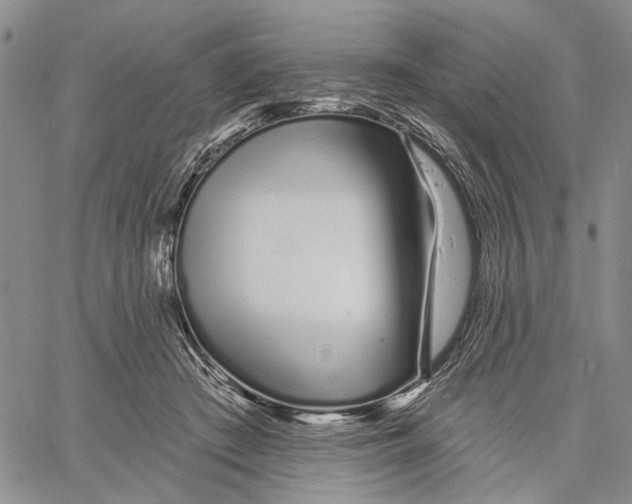 X0000060580409200512011738