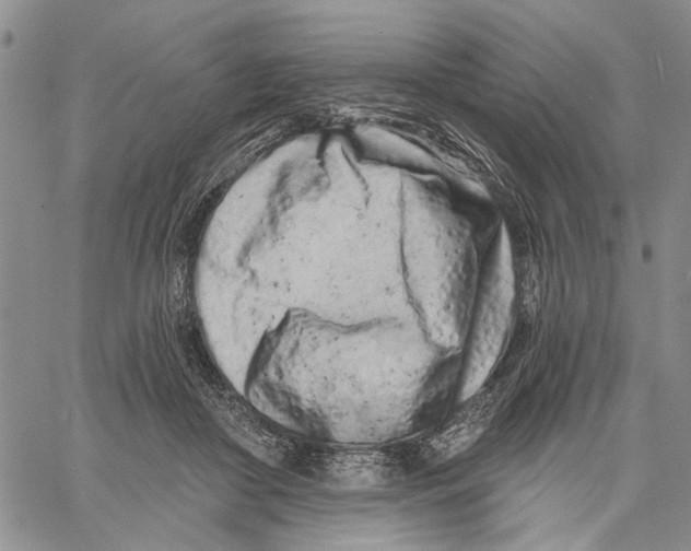 X0000060580410200512011738