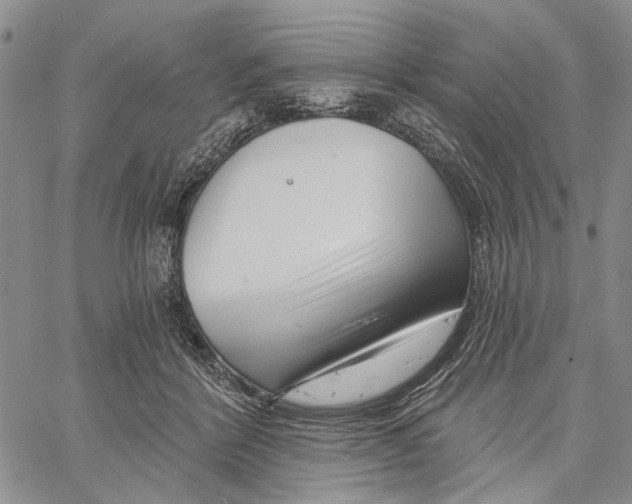 X0000060580412200512011738