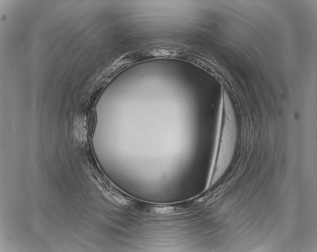 X0000060580413200512011738