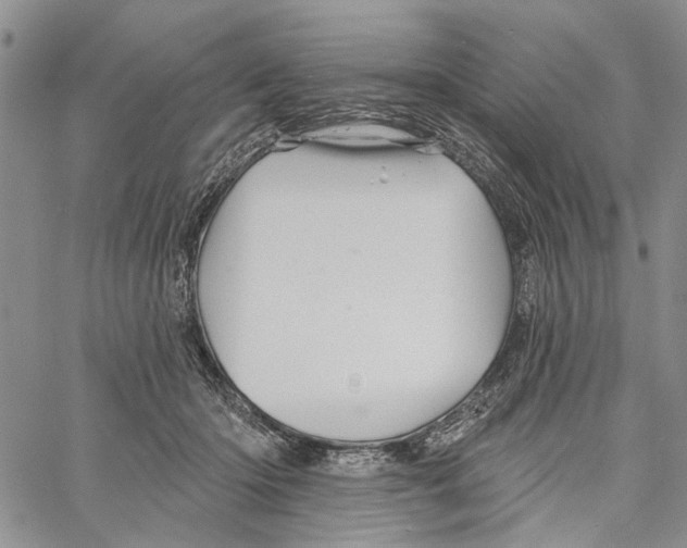 X0000060580414200512011738