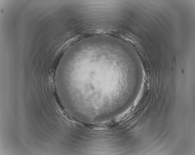 X0000060580415200512011738