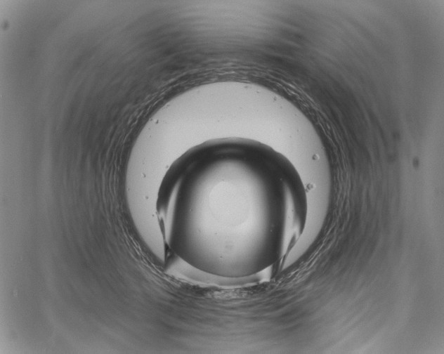 X0000060580417200512011738