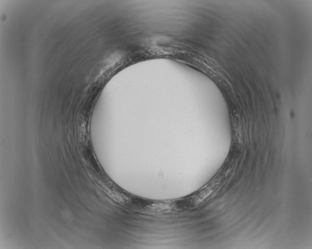 X0000060580418200512011738