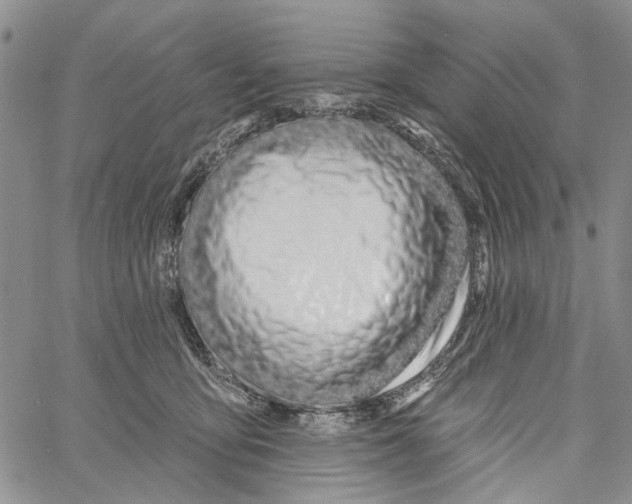 X0000060580419200512011738