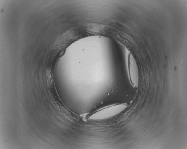 X0000060580420200512011738