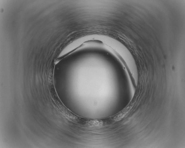 X0000060580421200512011738