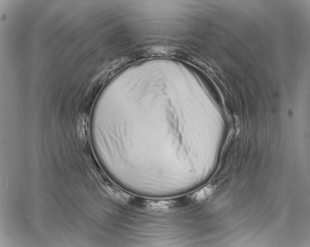 X0000060580423200512011738