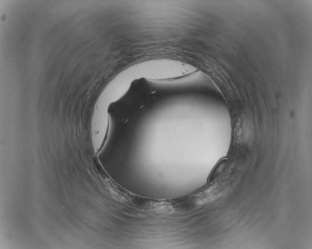 X0000060580424200512011737