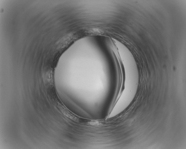 X0000060580425200512011737