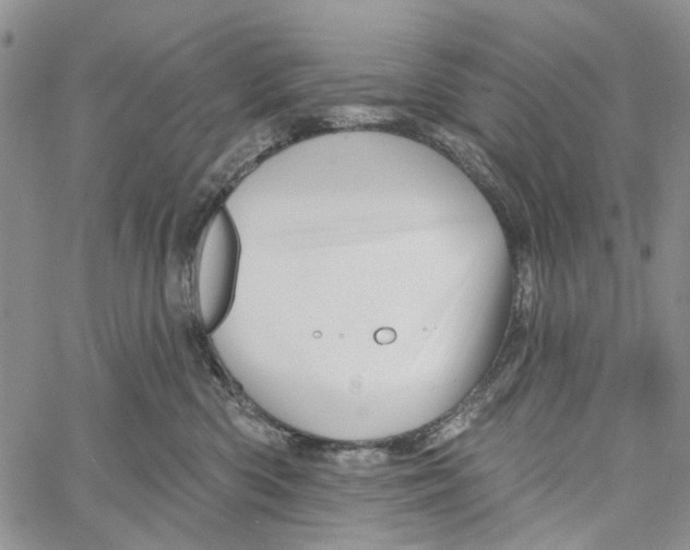 X0000060580426200512011737