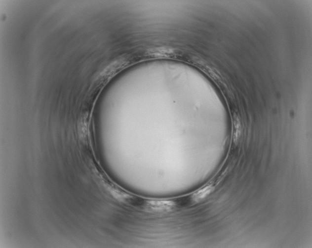 X0000060580427200512011737