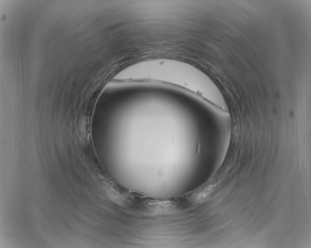 X0000060580428200512011737