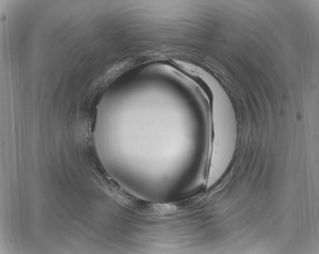 X0000060580429200512011737