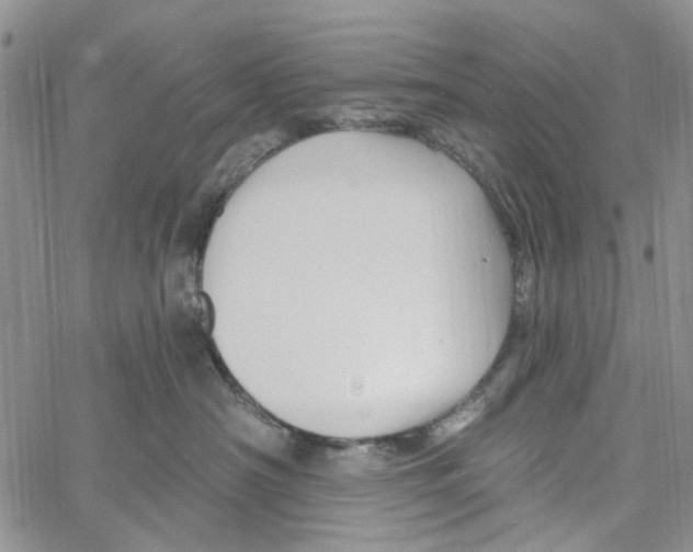 X0000060580430200512011737