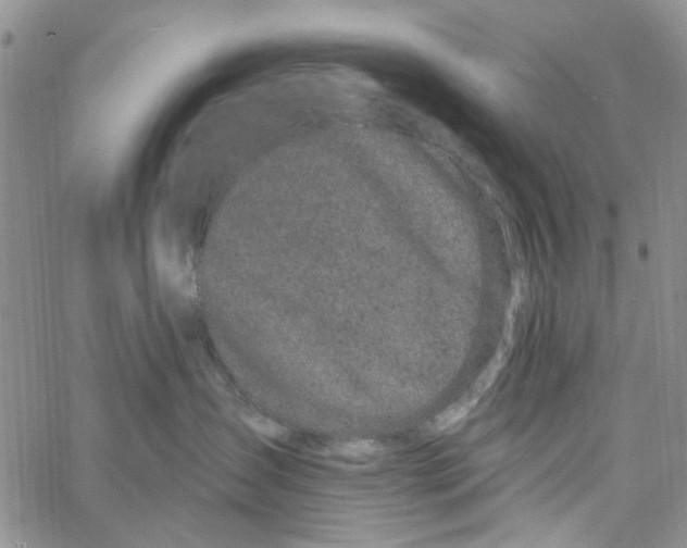 X0000060580431200512011737