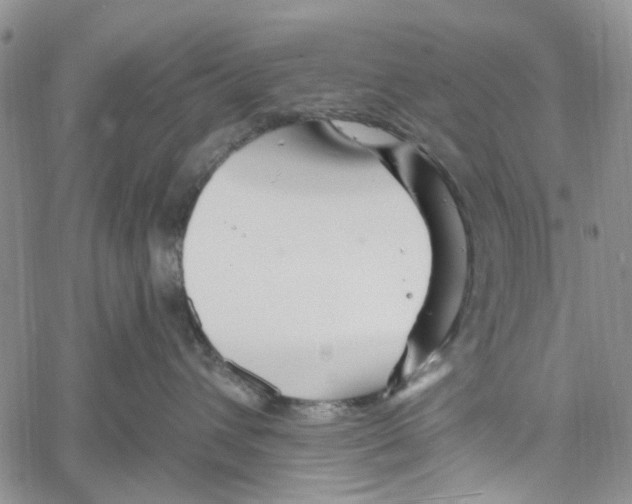 X0000060580432200512011737