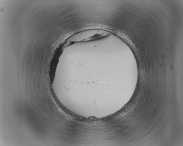 X0000060580433200512011737