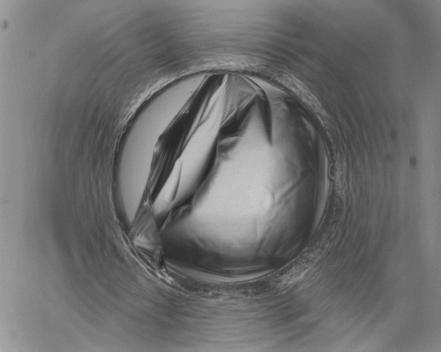 X0000060580434200512011737