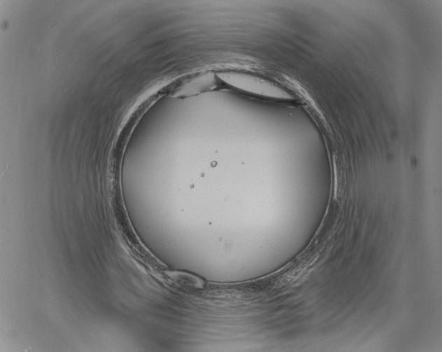 X0000060580435200512011737