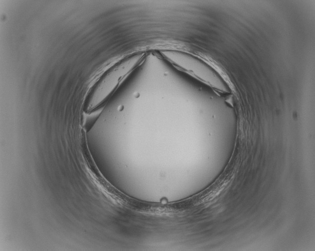 X0000060580437200512011737