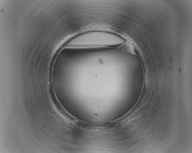 X0000060580438200512011737