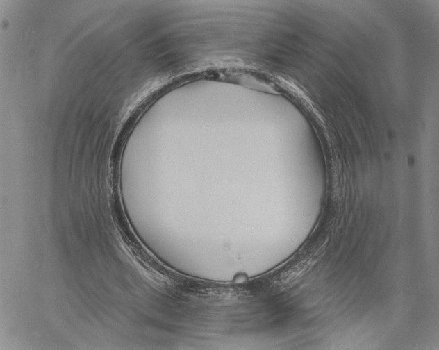 X0000060580439200512011737