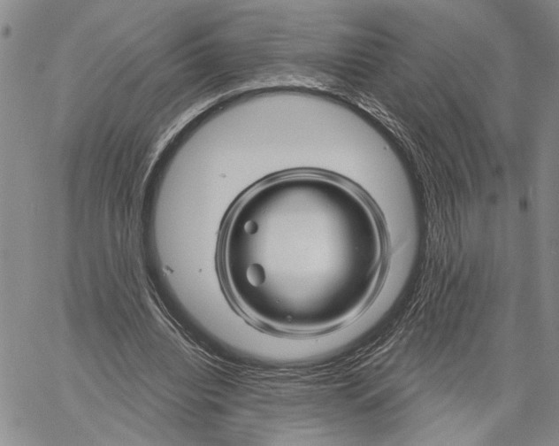 X0000060580440200512011737