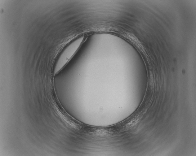 X0000060580441200512011737