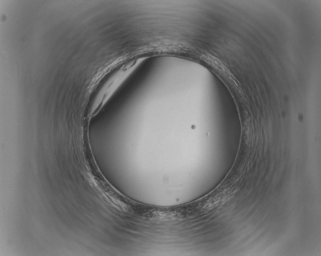 X0000060580442200512011737