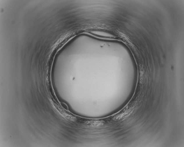 X0000060580443200512011737