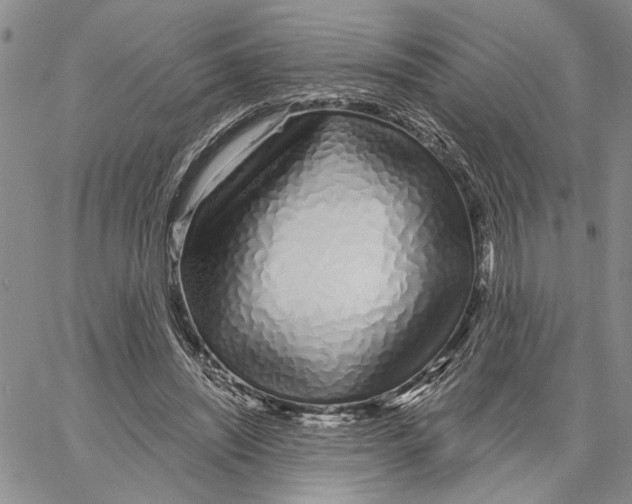 X0000060580444200512011737