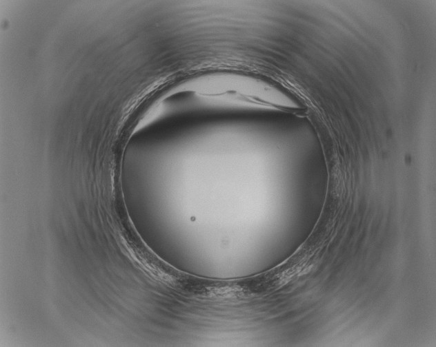 X0000060580446200512011737