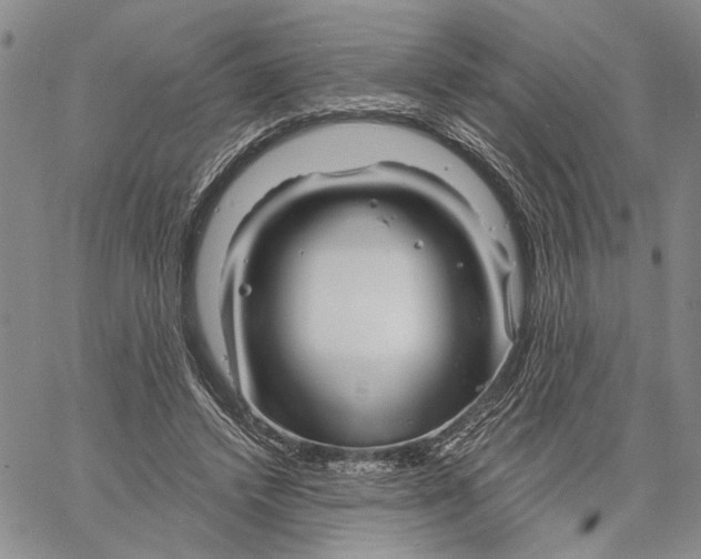 X0000060580448200512011737