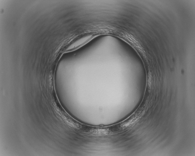 X0000060580449200512011737