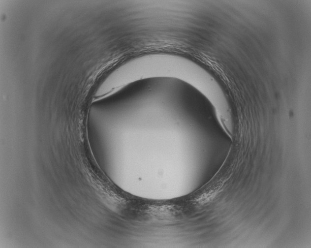 X0000060580450200512011737