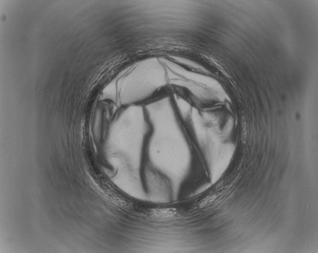 X0000060580451200512011737