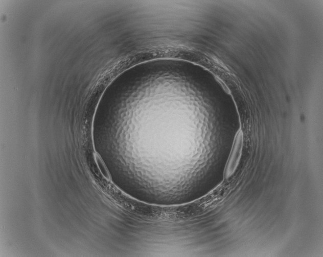 X0000060580452200512011737