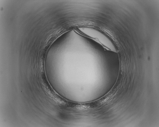 X0000060580453200512011737