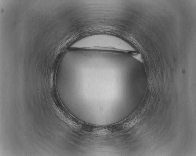 X0000060580454200512011737