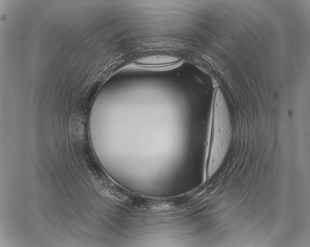 X0000060580456200512011737