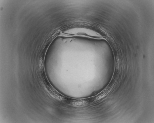 X0000060580459200512011737