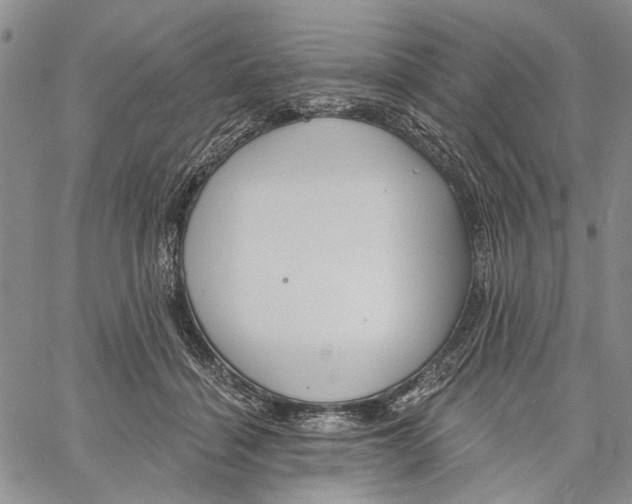 X0000060580460200512011737