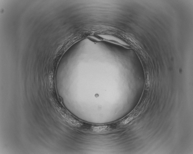 X0000060580461200512011737