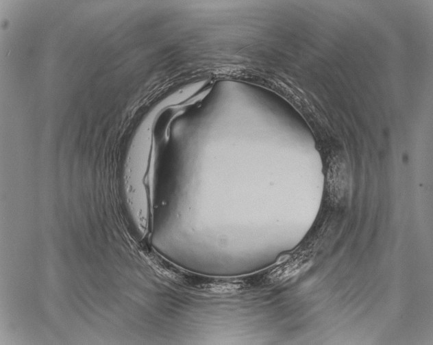 X0000060580462200512011737